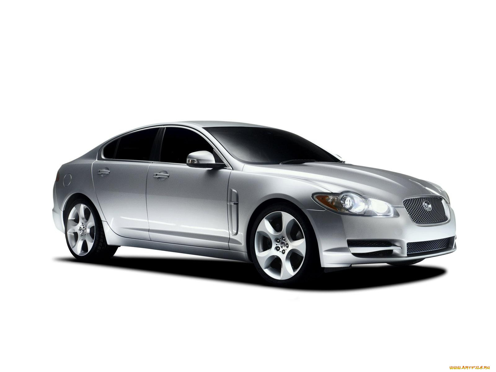 , jaguar